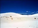 White Sands